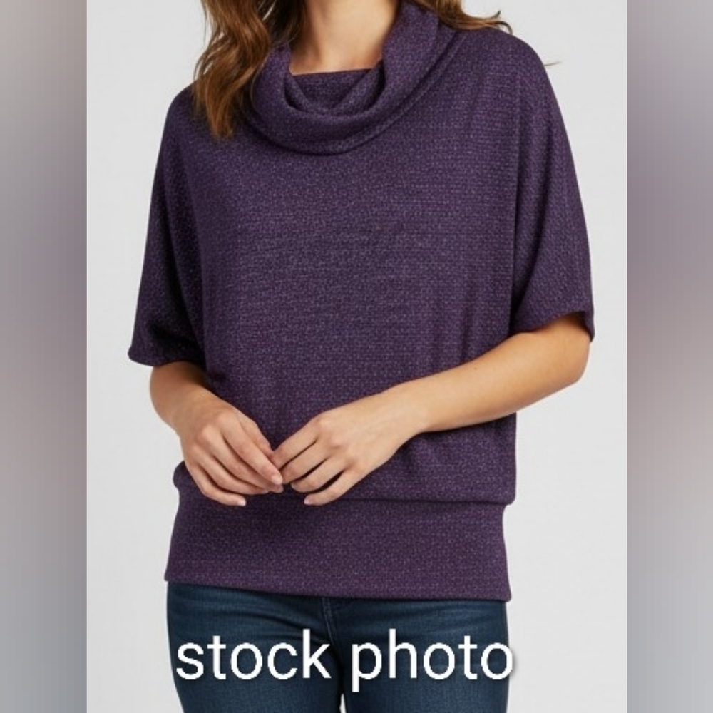 Valerie Stevens XL Cowel Neck Sparkle Sweater Top Purple Wide Waistband